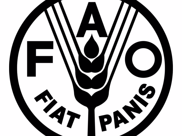 FAO Malawi