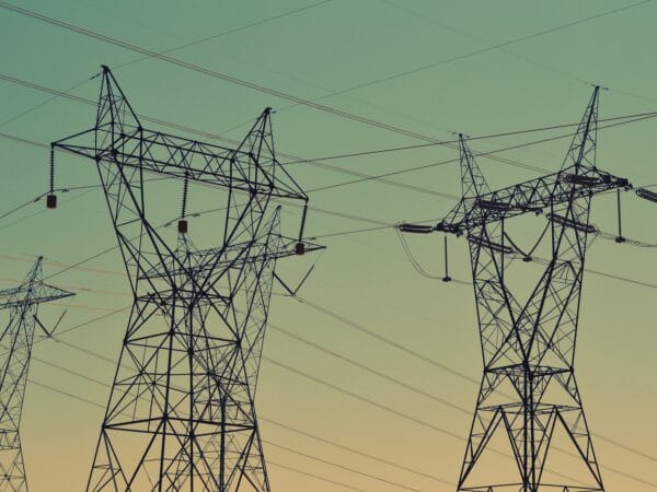 Photo by Fré Sonneveld