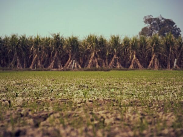 Photo by Ashwini Chaudhary(Monty)