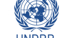 United Nations Office for Disaster Risk Reduction UNDRR Malawi | Ntchito Malawi