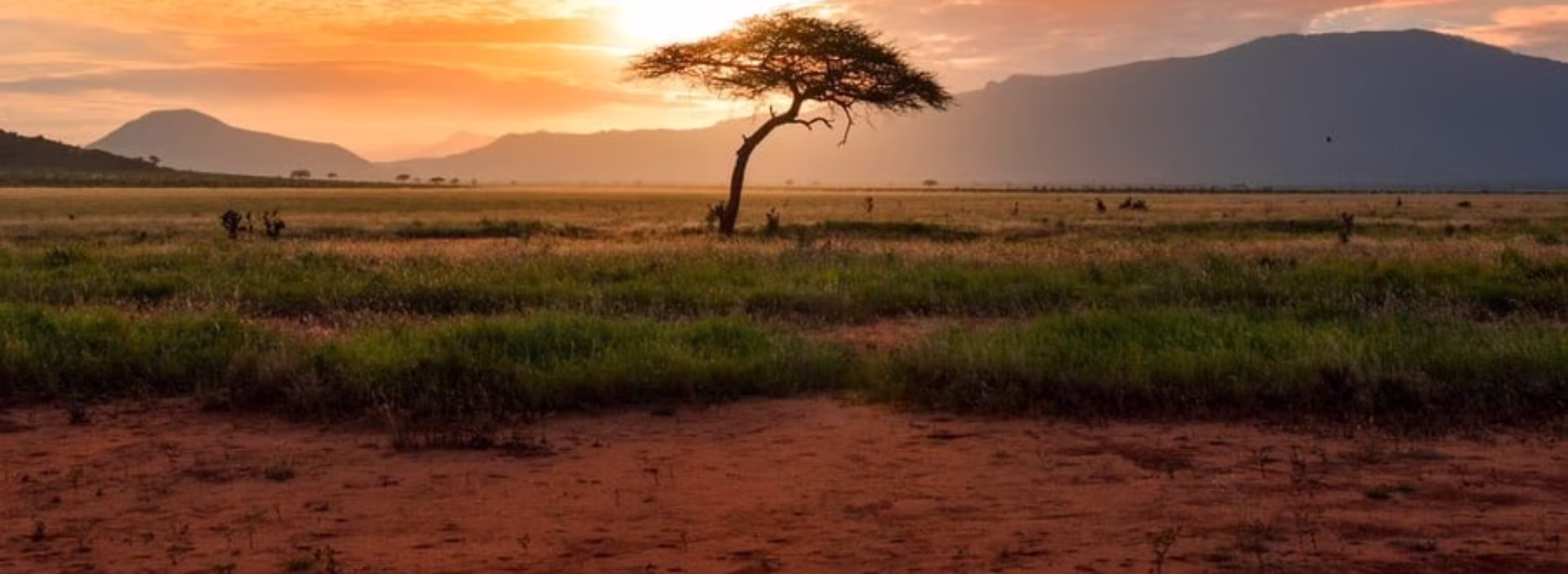 cropped image 2025 11 10 061918613