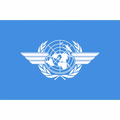 International Civil Aviation Organization (ICAO)