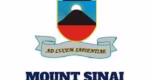 Mount Sinai International School 